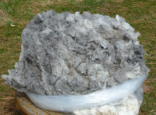 Load image into Gallery viewer, Astro 2024 Raw Fleece - 7.7 lbs Reserved
