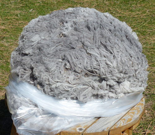 Astro 2025 Raw Fleece - 7.1  lbs Reserved