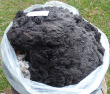 Load image into Gallery viewer, Black Diamond 2026 Raw Fleece - 6.6 lbs Reserved
