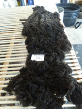 Load image into Gallery viewer, Black Diamond 2025 Neck Fleece 2.4 lbs