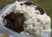 Load image into Gallery viewer, Beargrass - 2024 Raw Fleece 4.8 lbs - RESERVED