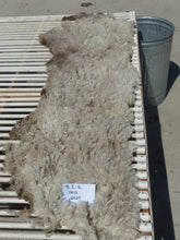 Load image into Gallery viewer, Brown Eyed Girl - 2025 Neck Fleece 1.7 lbs
