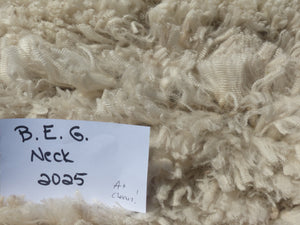 Brown Eyed Girl - 2025 Neck Fleece 1.7 lbs