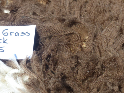 Beargrass - 2025 Neck Fleece 1.9lbs