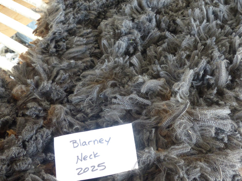 Blarney - 2025 Neck Fleece 2.2 lbs