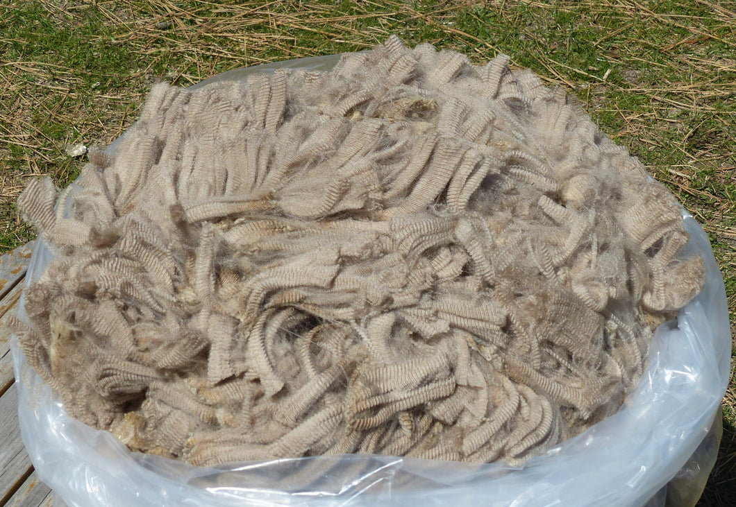 Blondie 2025 Raw Fleece - 4.6 lbs Reserved