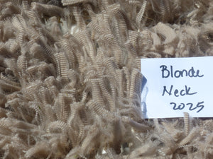 Blondie - 2025 Neck Fleece 1.5 lbs