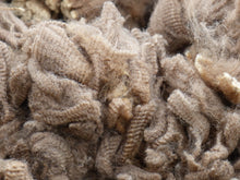 Load image into Gallery viewer, Brown Eyed Girl 2024 Raw Fleece 4.5 lbs - Reserved