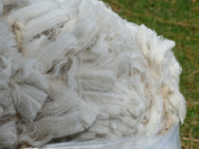 Load image into Gallery viewer, Cash 2024 Raw Fleece - 6.6 lbs Reserved