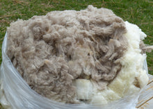 Load image into Gallery viewer, Captain Jack 2024 Raw Fleece 5.4lbs- Reserved