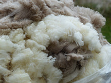 Load image into Gallery viewer, Captain Jack 2024 Raw Fleece 5.4lbs- Reserved