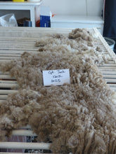 Load image into Gallery viewer, Captain Jack - 2025 Neck Fleece 1.5lbs