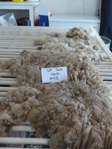 Captain Jack - 2025 Neck Fleece 1.5lbs