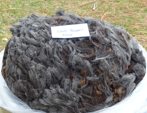 Chili Pepper 2024 Raw Fleece - 6.8 lbs Reserved