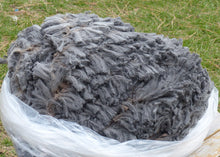 Load image into Gallery viewer, Colonel Sanders  - 2024 Raw Fleece 5.1 lbs RESERVED