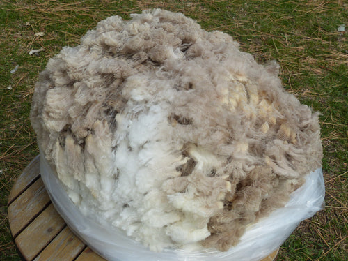 Captain Jack 2025 Raw Fleece 4.0