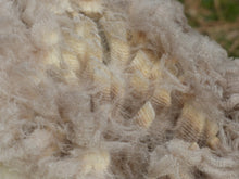 Load image into Gallery viewer, Captain Jack 2025 Raw Fleece 4.0