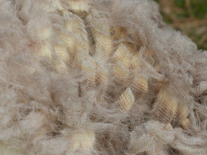 Captain Jack 2025 Raw Fleece 4.0