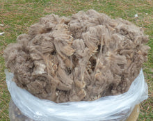 Load image into Gallery viewer, Carmelita 2025 Raw Fleece - 5.0 lbs Reserved