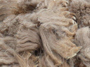 Carmelita 2025 Raw Fleece - 5.0 lbs Reserved