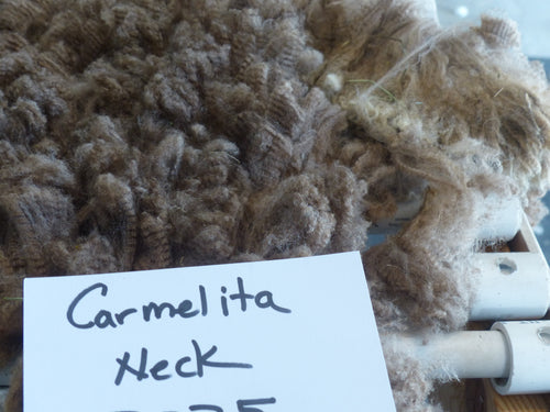 Carmelita - 2025 Neck Fleece 1.9 lbs