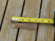 Load image into Gallery viewer, Carmelita 2025 Raw Fleece - 5.0 lbs Reserved
