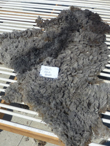 Chili Pepper - 2025 Neck Fleece 1.8 lbs