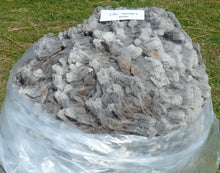 Load image into Gallery viewer, Colonel Sanders  - 2026 Raw Fleece 7.3 lbs RESERVED