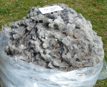 Load image into Gallery viewer, Colonel Sanders  - 2026 Raw Fleece 7.3 lbs RESERVED