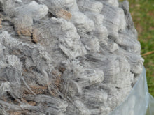 Load image into Gallery viewer, Colonel Sanders  - 2026 Raw Fleece 7.3 lbs RESERVED