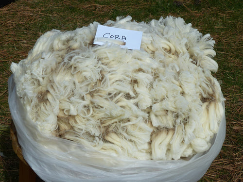 Cora 2023 Raw Fleece - 5.3lbs
