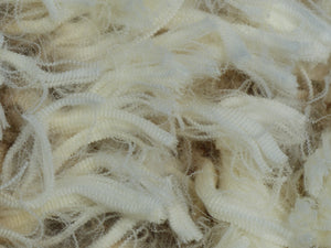 Cora 2023 Raw Fleece - 5.3lbs