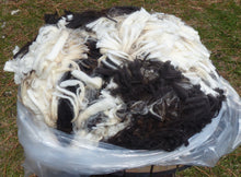 Load image into Gallery viewer, Firefighter- 2025 Prime Raw Fleece 6.5 lbs - RESERVED