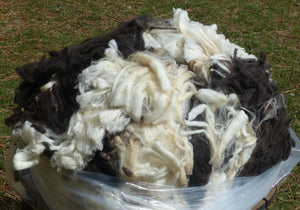 Firefighter- 2025 Prime Raw Fleece 6.5 lbs - RESERVED