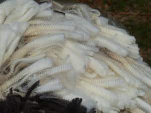 Firefighter- 2025 Prime Raw Fleece 6.5 lbs - RESERVED