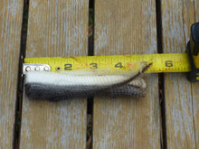 Load image into Gallery viewer, Firefighter- 2025 Prime Raw Fleece 6.5 lbs - RESERVED