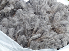 Load image into Gallery viewer, Flash 2026 Raw Fleece - 5.47 lbs Reserved