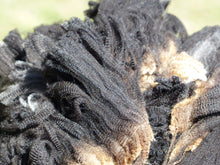 Load image into Gallery viewer, Galaxy 2026 Raw Fleece - 4.93 lbs Reserved