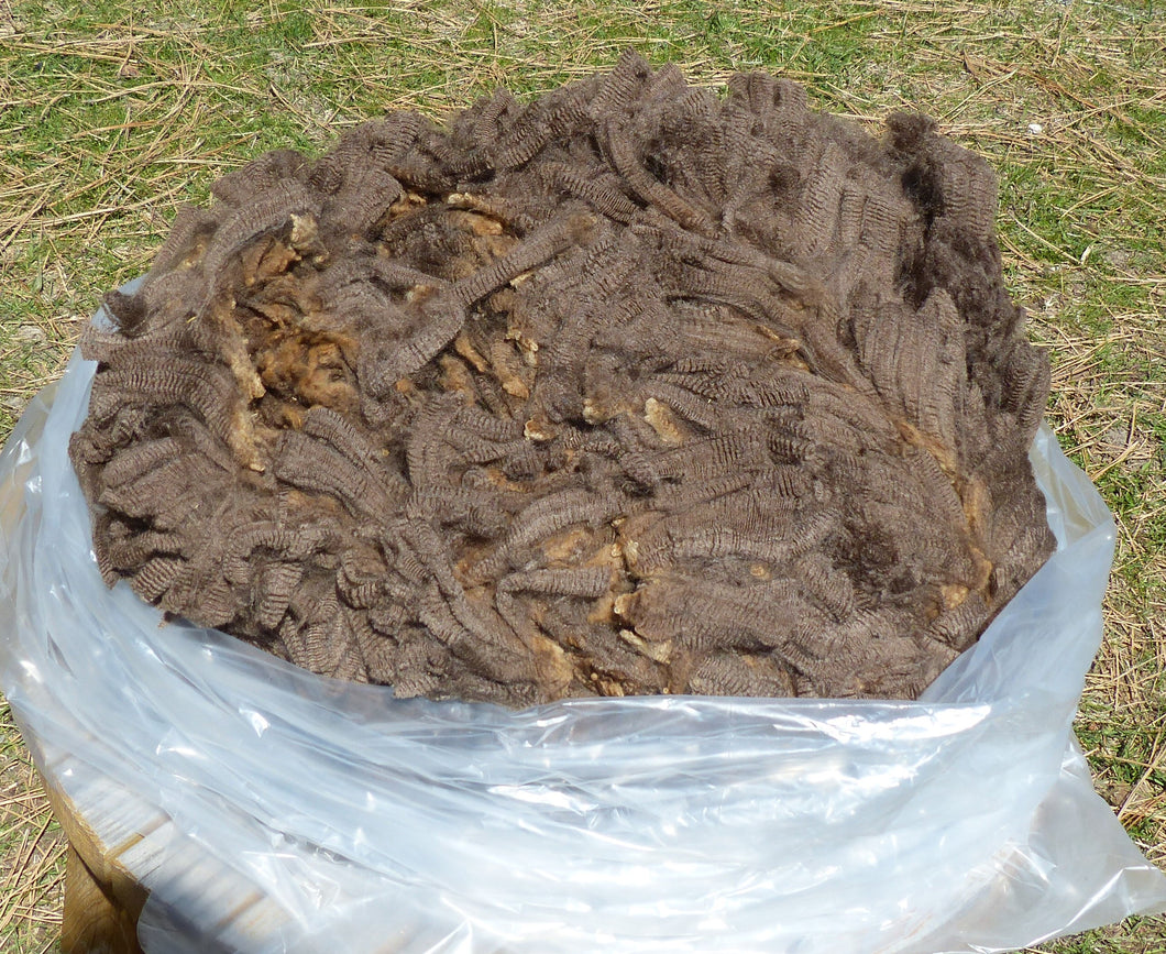 Groucho 2025 Raw Fleece - 5.2 lbs RESERVED