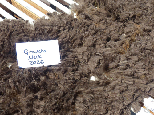 Groucho 2025 Neck Fleece - 1.7lbs