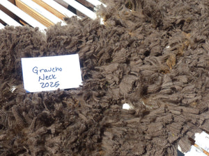Groucho 2025 Neck Fleece - 1.7lbs