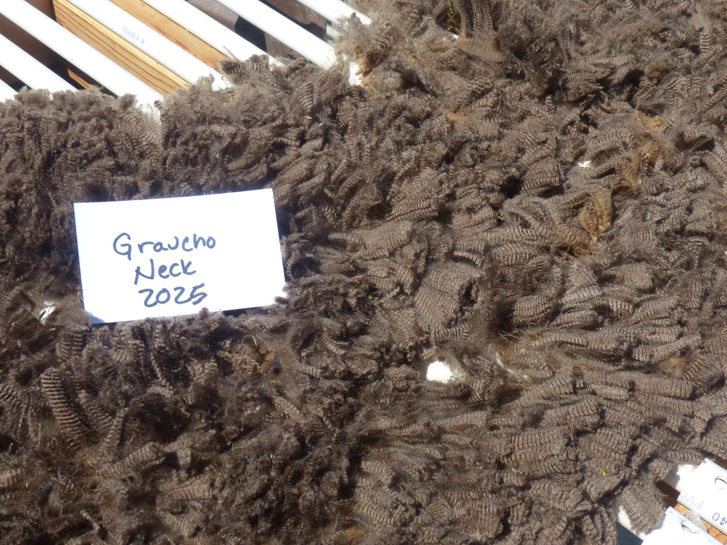 Groucho 2025 Neck Fleece - 1.7lbs