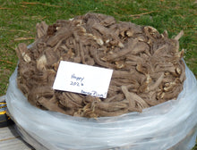 Load image into Gallery viewer, Happy 2026 Raw Fleece - 4.82 lbs Reserved