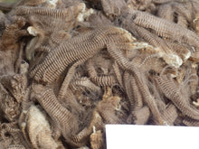 Load image into Gallery viewer, Happy 2026 Raw Fleece - 4.82 lbs Reserved