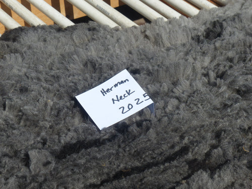 Herman - 2025 Neck Fleece 1.8 lbs -