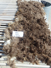 Load image into Gallery viewer, Hoss - 2025 Neck Fleece - 1.6 lbs