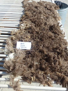 Hoss - 2025 Neck Fleece - 1.6 lbs
