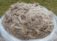 Load image into Gallery viewer, Jaxx 2024 Raw Fleece - 8.2 lbs Reserved