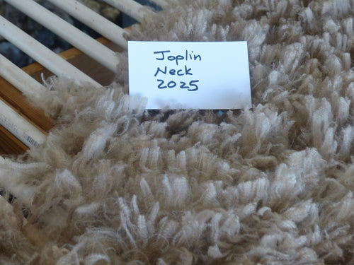 JOPLIN - 2025 NECK FLEECE 1.6 lbs