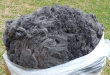 Load image into Gallery viewer, Kendall 2024 Raw Fleece - 6.7 lbs Reserved